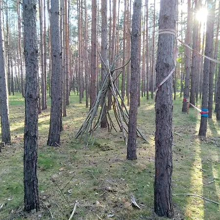 Campsite Tinyhaus Idyllisch Am Waldesrand Cottbus
