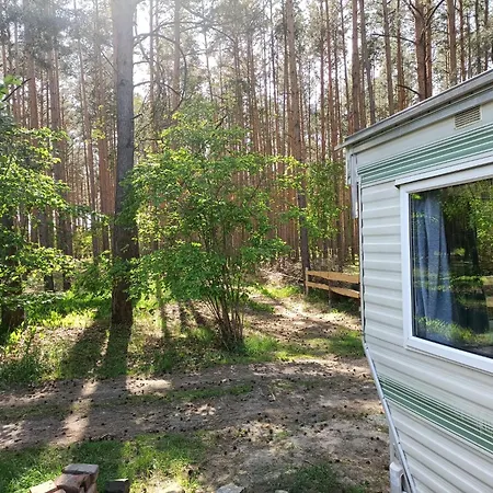 Campsite Tinyhaus Idyllisch Am Waldesrand Cottbus