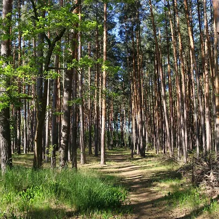 Camping Tinyhaus Idyllisch Am Waldesrand Cottbus
