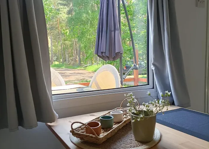 Camping Tinyhaus Idyllisch Am Waldesrand Cottbus