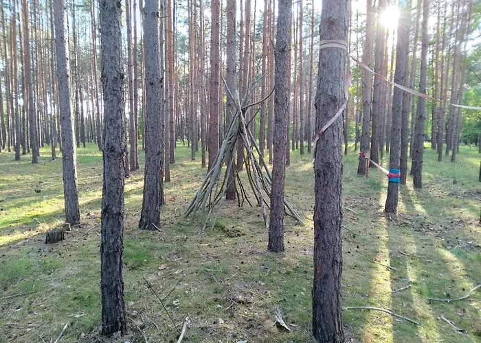 Camping Tinyhaus Idyllisch Am Waldesrand Cottbus