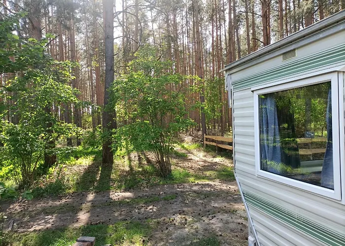 Camping Tinyhaus Idyllisch Am Waldesrand Cottbus